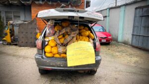 Customs FOU 'A' Demonstrates Commitment to Anti-Smuggling War with ₦1.18bn Seizure 11