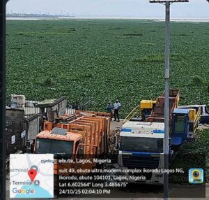 NIWA Deploys Heavy Machinery to Tackle Water Hyacinth Menace in Ikorodu Waterways 10 NIWA