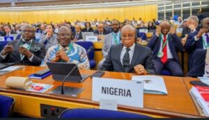 14 Years On: Nigeria Makes Triumphant Return to IMO Council 12