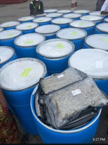 Apapa Customs Seizes 1.8 Tonnes of Cannabis, Expired Pharmaceuticals Worth ₦12.7bn 13