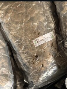 Apapa Customs Seizes 1.8 Tonnes of Cannabis, Expired Pharmaceuticals Worth ₦12.7bn 15