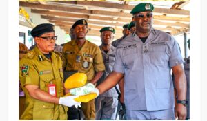 Ogun I Customs Records Major Anti-Smuggling Breakthrough, Hands Over ₦3.5bn Contraband, Narcotics to NDLEA 13
