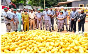 Ogun I Customs Records Major Anti-Smuggling Breakthrough, Hands Over ₦3.5bn Contraband, Narcotics to NDLEA 12