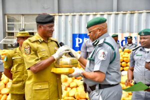 Customs FOU Zone ‘A’ Intercepts 3,116kg Cannabis, Other Drugs Worth N3.95bn 15