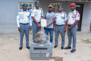 Customs FOU Zone ‘A’ Intercepts Three Live Pangolins in Ogun, Busts Wildlife Trafficking Attempt 15