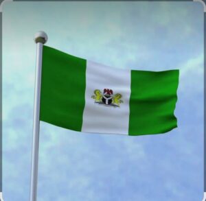 Nigeria@66: The Maritime Giant Nigeria Failed to Build 14